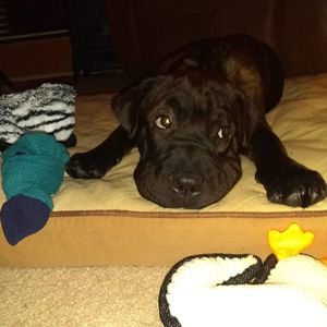 Meet your Posher, Maureen